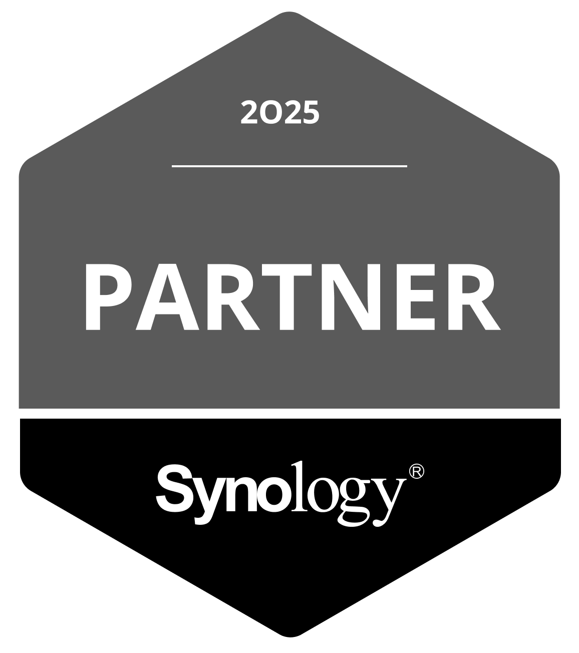 Synology Partner